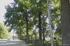 Парк был назван в честь Мажита Гафури — классика советской башкирской и татарской литературы